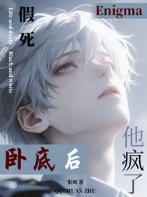 �����Ե׺�Enigma������