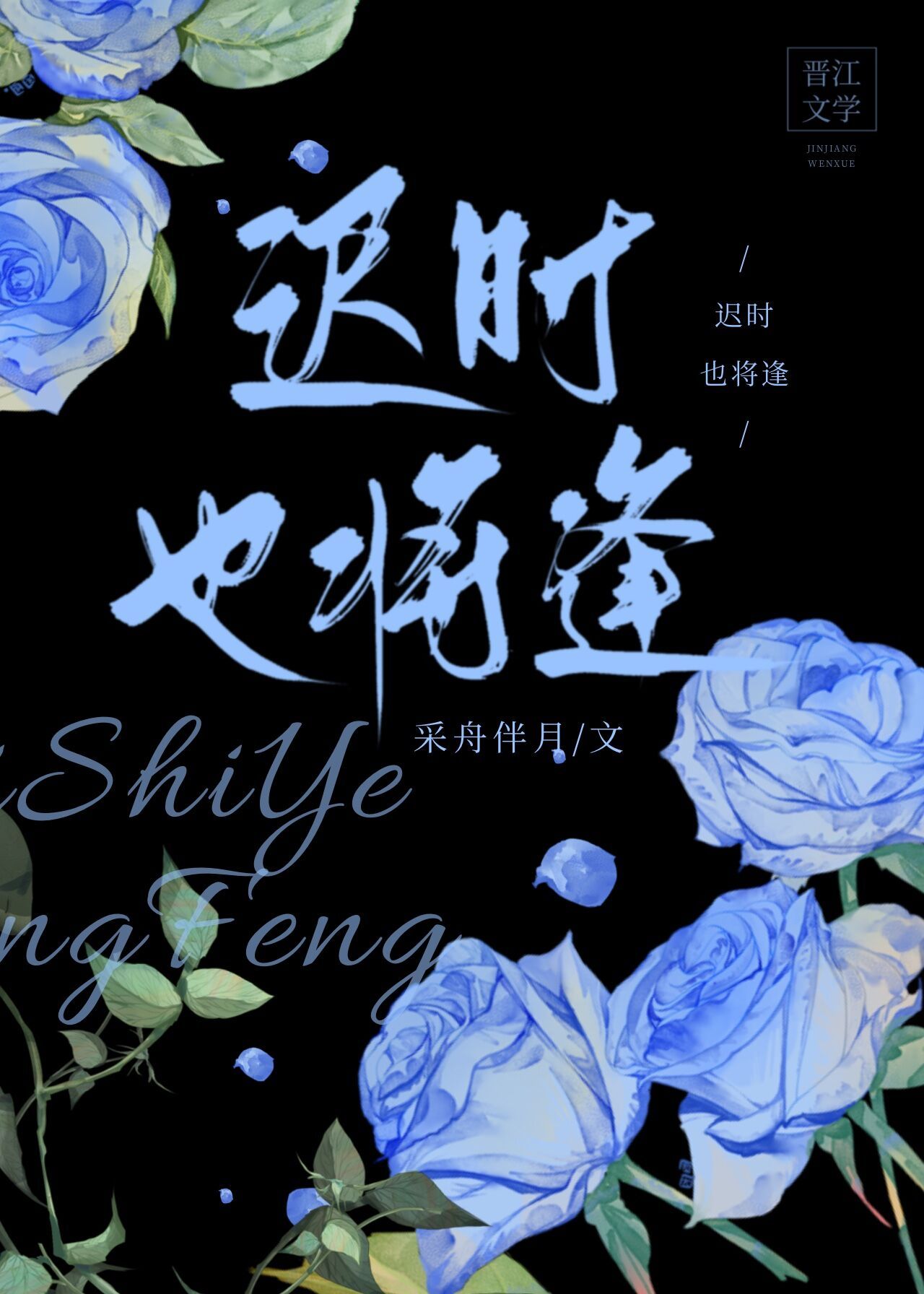 ��ʱҲ����