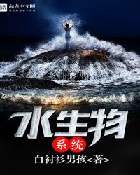 ˮ����ϵͳ